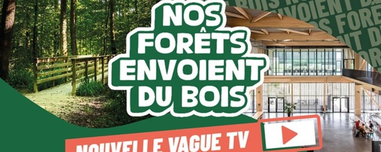 Nos forets